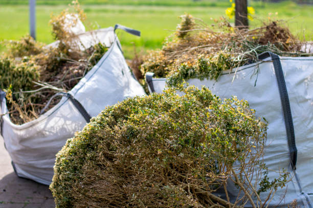 Best Construction Debris Removal  in Lone Tree, CO